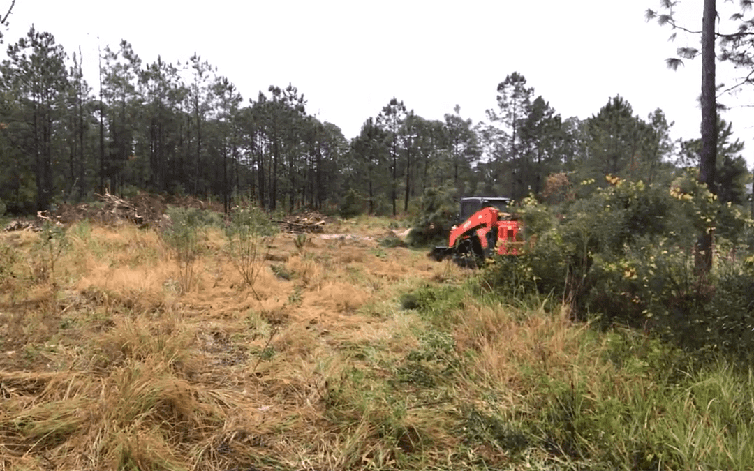 Clearing Property Lot for a New Custom Home Build